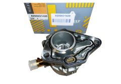 Vakuuma Sūknis Oriģināls Renault Megane Trafic 1.9 dCi 8200031420