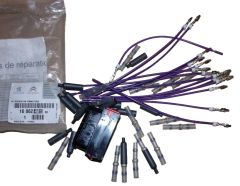Žibintų diržai Jauns Oriģināls 1606248180 Citroen C5 C6