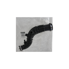 Gaisa šļūtene Oriģināls 165761904R Renault
