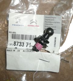 Skrūve Siłownika Klapy Jauns Oriģināls 8733.71 8733.71 Citroen C1