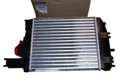 Starpdzesētājs Jauns Oriģināls 144967634R Renault Dacia