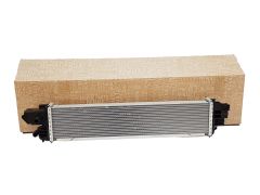 Starpdzesētājs Renault Opel Nissan Fiat 144614882R Oriģināls
