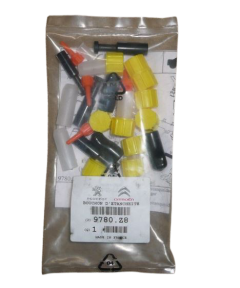 Remonta komplekts Oriģināls Citroen Peugeot 9780Z8