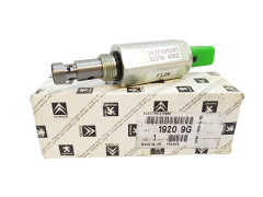 Sadales Vārsts Oriģināls Citroen Peugeot C5 C8 2.2 19209G