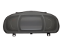 Spidometrs Renault Scenic 4 248100254R 7748