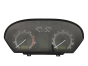 Spidometrs Skoda Fabia 6Y0920881L 110080253019 32157