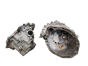Pārnesumkārbas Korpuss ND0002 1.9 dCi Renault Scenic 2 8200370824