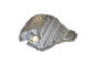 Eļļas Karteris 06L103600F 11031819701 Audi Vika