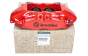 Bremžu suports Kreisais Oriģināls 410110915R Renault Megane 4 RS