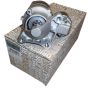 Starteris Oriģināls 233004003R Renault