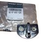 Durvju Fiksators Oriģināls 825700012R Renault